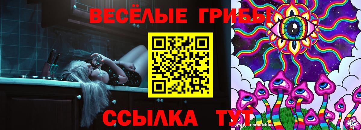 Пятигорск  как найти закладки  Вход с VPN  Галлюциногенные грибы прущие грибы  Псилоцибиновые грибы Psilocybe 