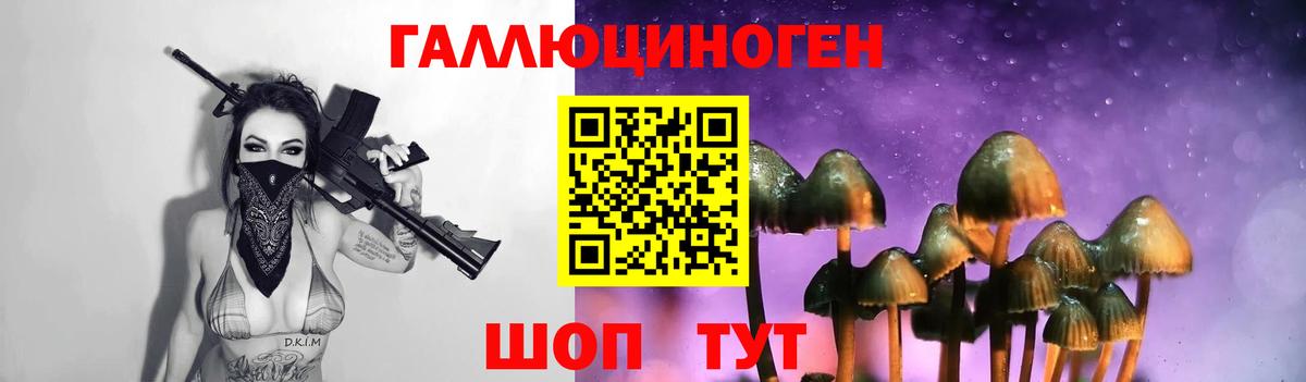 Псилоцибиновые грибы MAGIC MUSHROOMS Пятигорск
